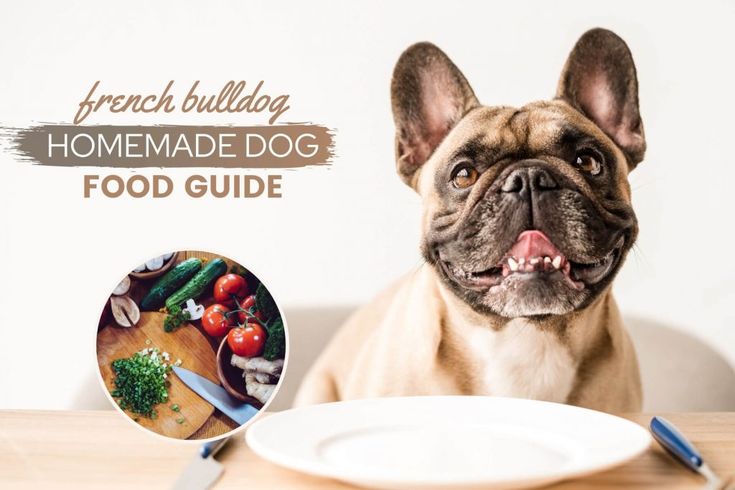 Homemade dog food for frenchies